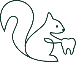 Illustration: Eichhörnchen